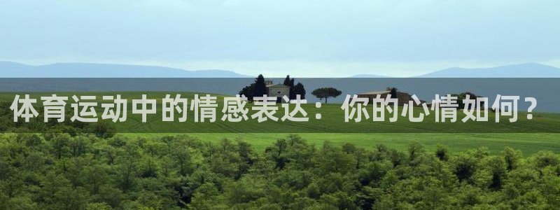 178体育篮球直播在线观看