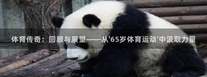 178体育live：体育传奇：回顾与展望——从\'65岁体育运动\'中汲取力量