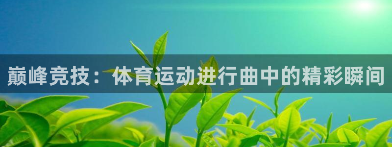 178体育app安卓版：巅峰竞技：体育运动进行曲中的精彩瞬间