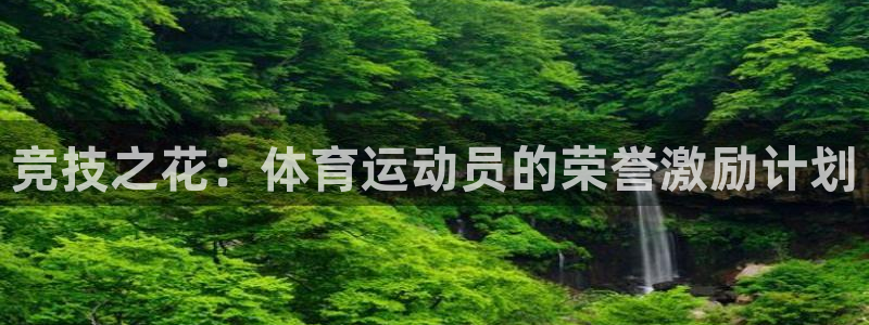 178体育客服电话24小时人工服务：竞技之花：体育运动员的荣誉激励计划